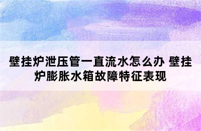 壁挂炉泄压管一直流水怎么办 壁挂炉膨胀水箱故障特征表现